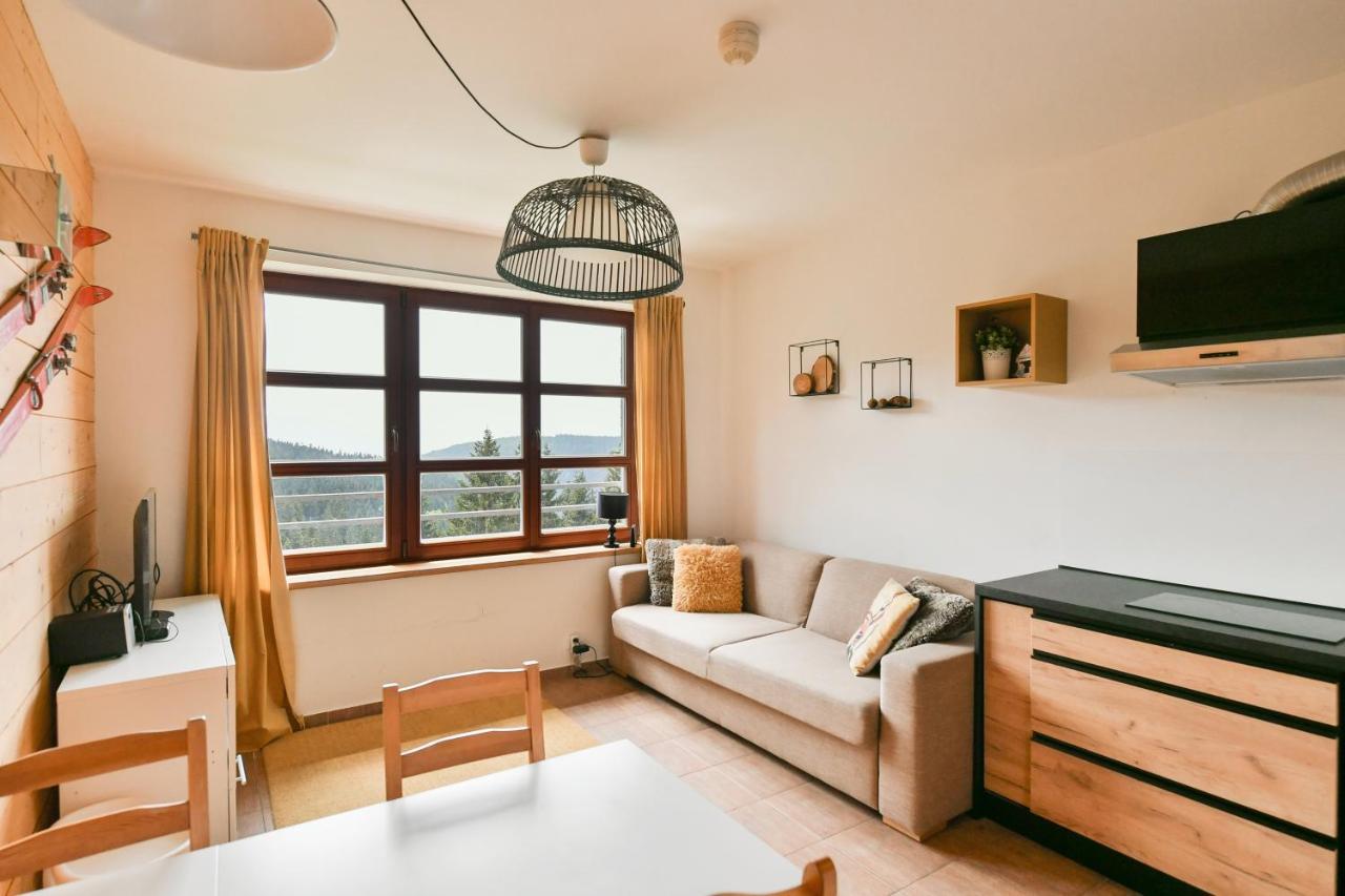 Cihlarka Apartment 306 بيتس بود سنيزكو المظهر الخارجي الصورة